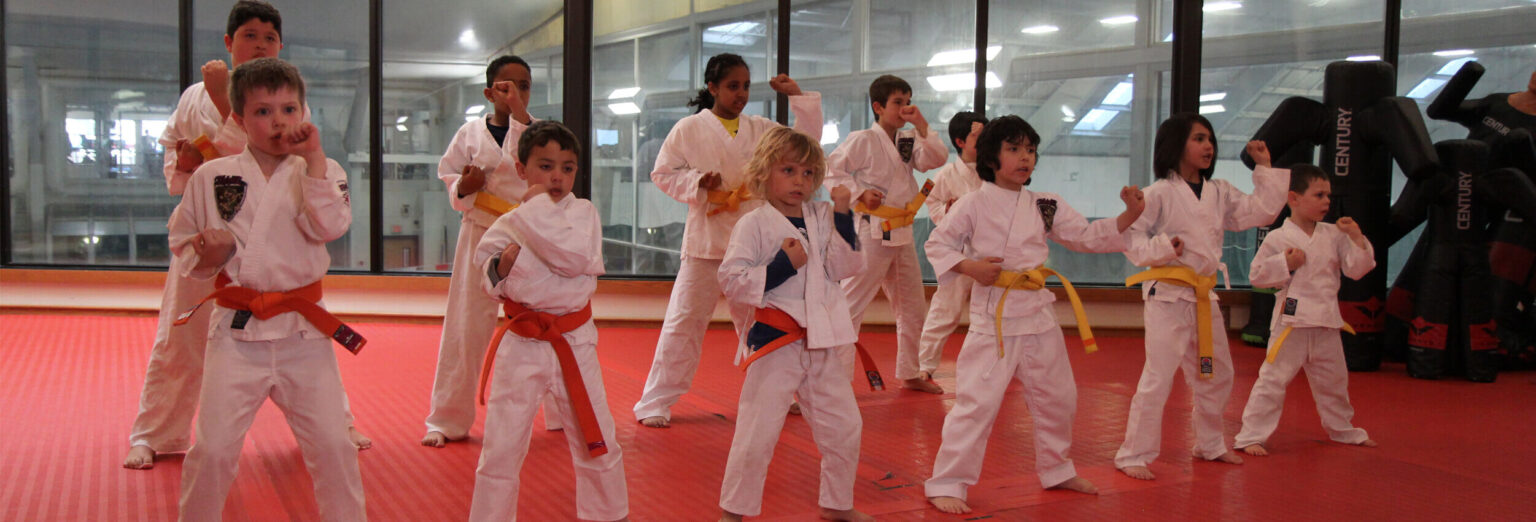 Kids Dedham Academy of Martial Arts